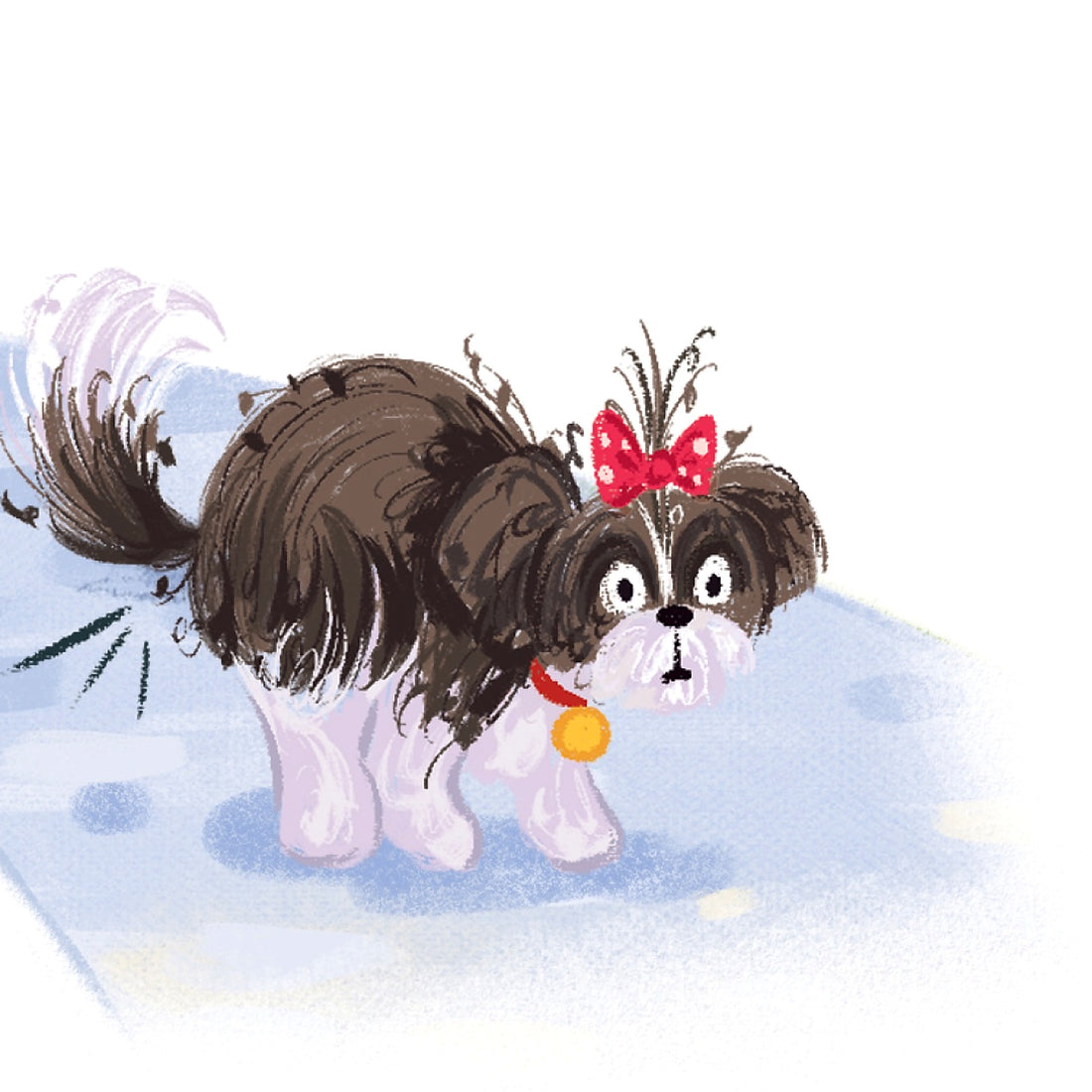 Leia the Shih Tzu