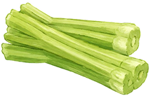 celery