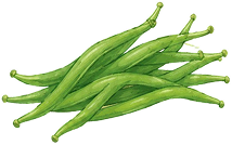green beans